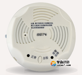 海湾NB燃气探测器